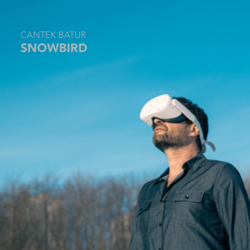 Snowbird cover